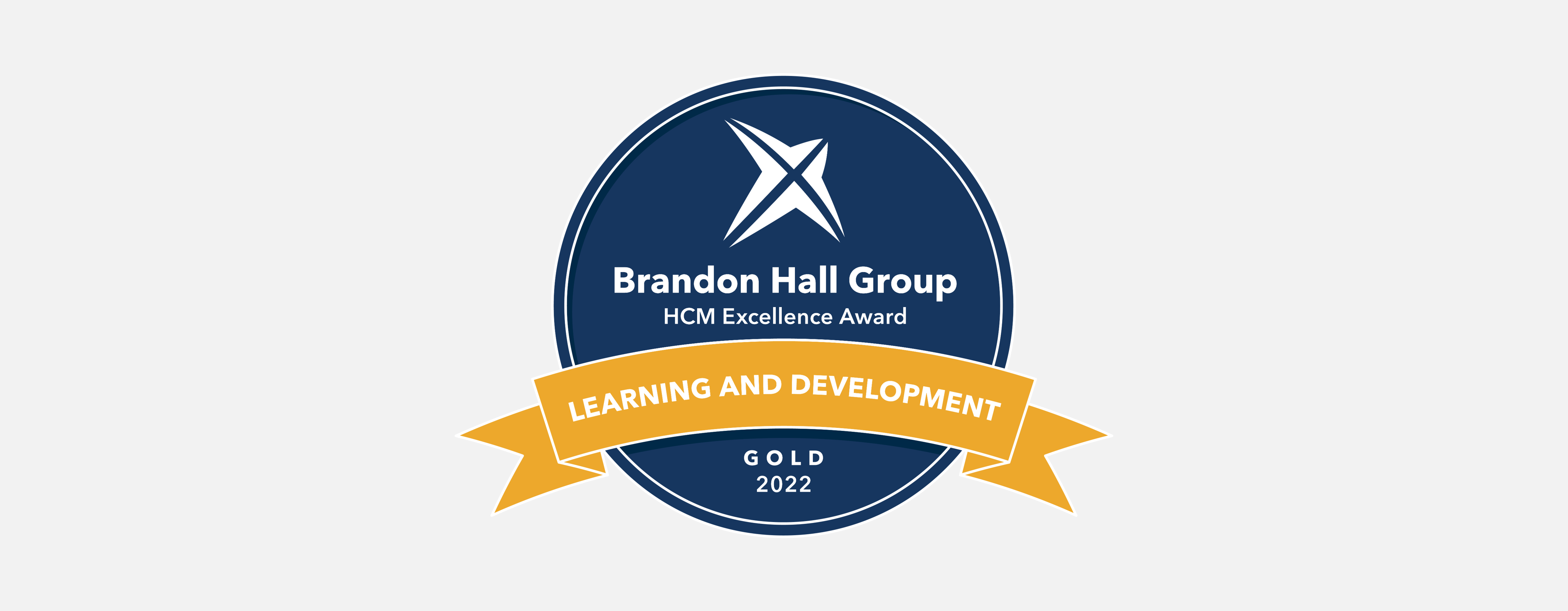 Brandon Hall Excellence Award The Summit Group